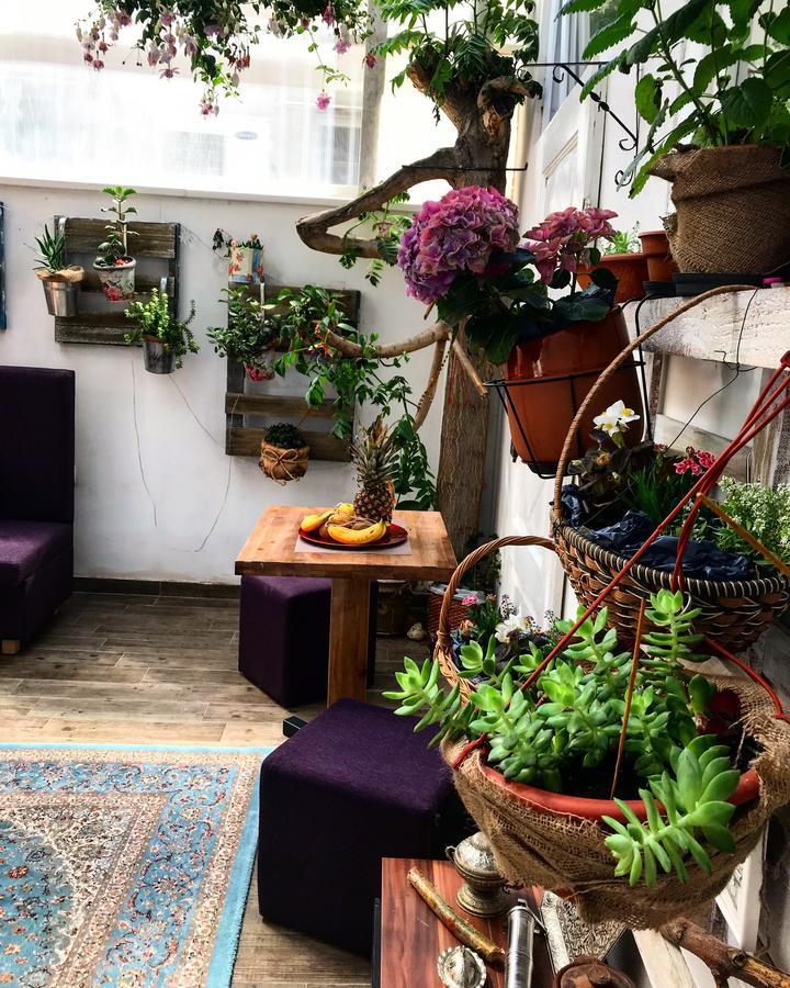 Eshe Boutique Hotel SJJ Eksteriør billede